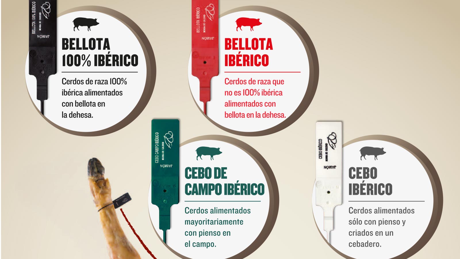 Etiquetas de identificación para jamón iberico